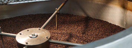 From planting to packaging: How coffee beans are produced