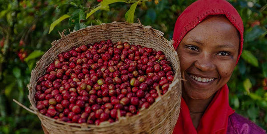 Ethiopia Choche coffee ceremony