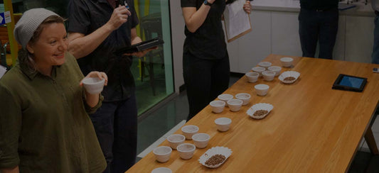 Cupping Panel Profile: Frith La Vin Lloyd