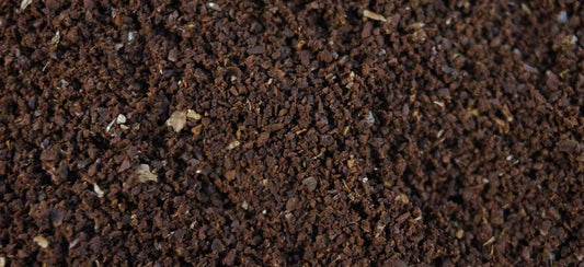 Coffee Grounds in the Garden