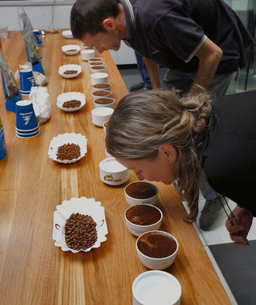 Your coffee tasting glossary