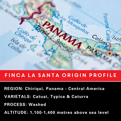 Finca La Santa