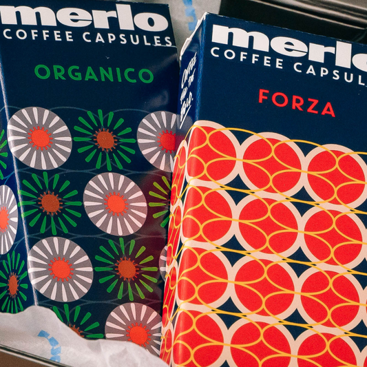 COFFEE CAPSULES - ORGANICO (10 PACK)