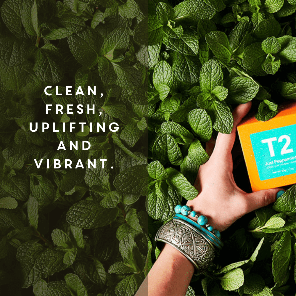 just peppermint t2 flavours merlo coffee